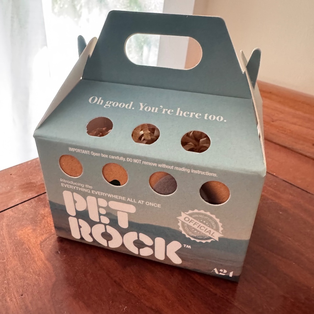 Everything Everywhere All At Once pet rock -- A24 official merchandise